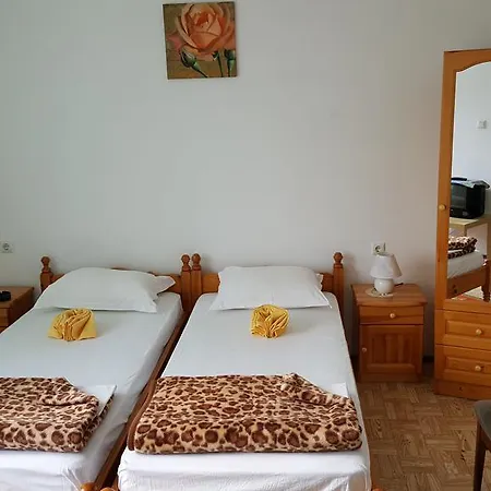 Guest house Damovi
